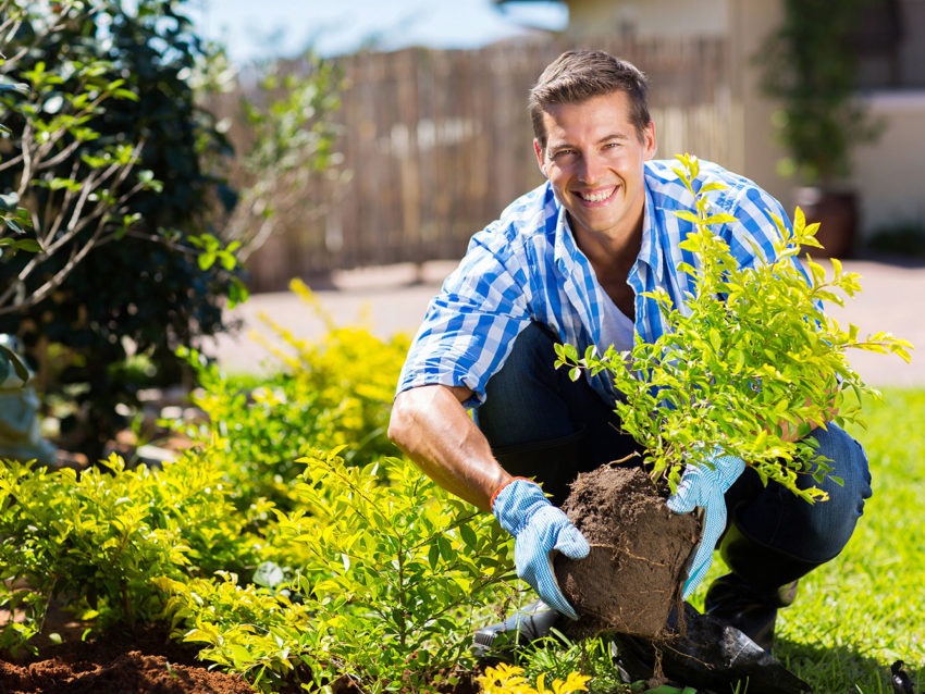 Young Man Gardening